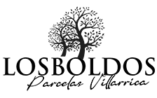 Canvas Logo