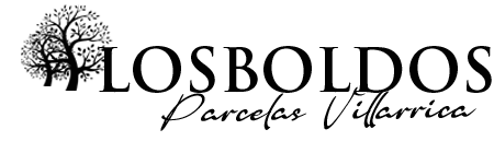 Los Boldos